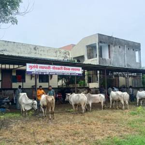 IMG-20251008-WA0026_original