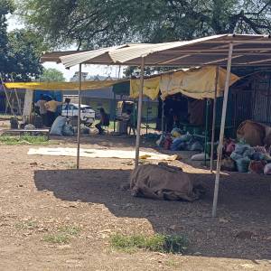 WhatsApp_Image_2025-10-07_at_12.02.22_PM_original