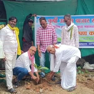 Ruksharopan___original